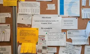 Ogłoszenie o wynajem mieszkania: Szybko znajdź idealnego najemcę!