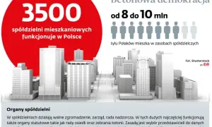 Spółdzielnia: kadencja rady nadzorczej statut czy ustawa decyduje?
