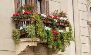 Balkon w bloku: Jak stworzyć funkcjonalną oazę? Poradnik eksperta