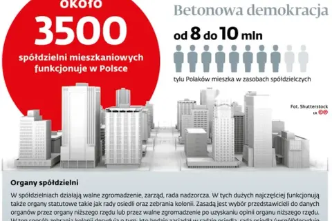 Spółdzielnia: kadencja rady nadzorczej statut czy ustawa decyduje?