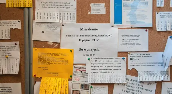 Ogłoszenie o wynajem mieszkania: Szybko znajdź idealnego najemcę!