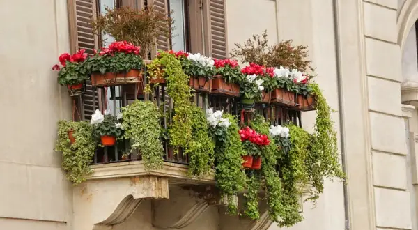 Balkon w bloku: Jak stworzyć funkcjonalną oazę? Poradnik eksperta