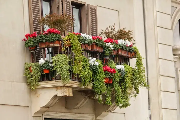 Balkon w bloku: Jak stworzyć funkcjonalną oazę? Poradnik eksperta